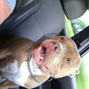 Meet your Posher, Sydney